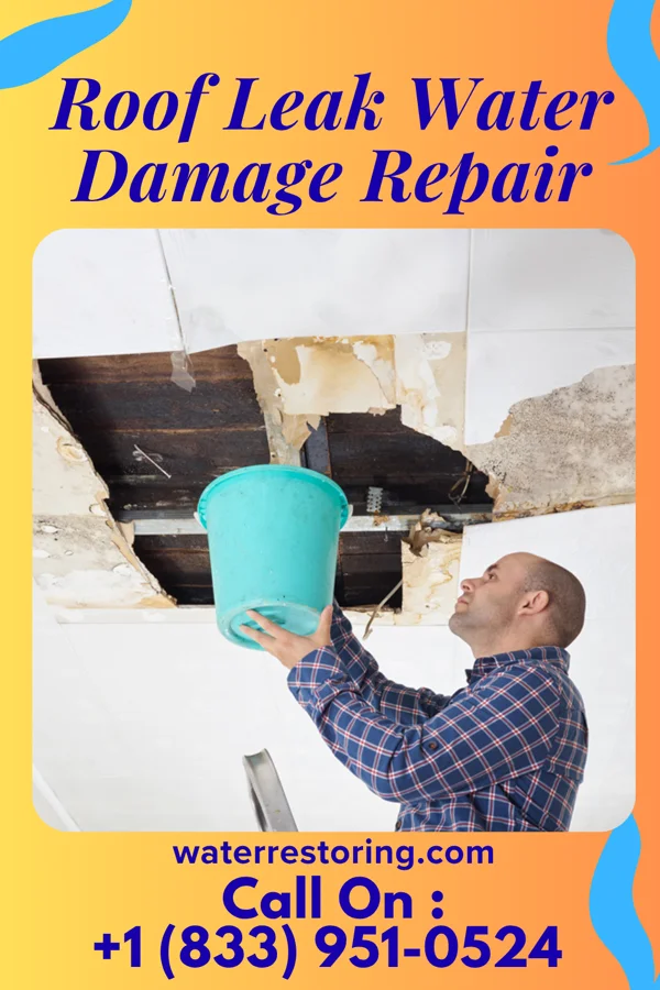 Roof Leak Water Damage Repair in College Park, GA