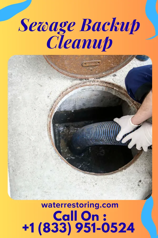 Sewage Backup Cleanup in College Park, GA