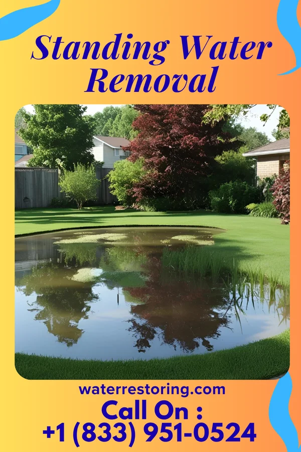 Standing Water Removal in College Park, GA